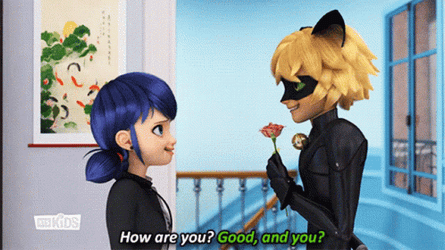 Chat Noir Giving Ladybug Flower GIF
