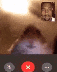 Chatting In Internet Hamster Meme GIF