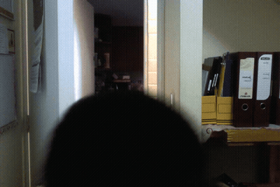 Chaupiquelopecio - Schlapeirytockrond GIF