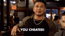Cheater You Cheated Pauly Jersey Shore GIF