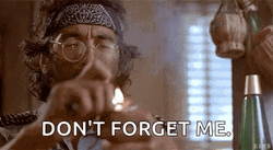 Cheech And Chong Don't Forget Me GIF