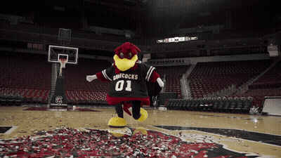 Cheecocks Mascot On Basketball Court With Confetti GIF