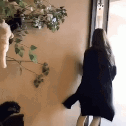 Cheeky Lady Walking Away Outside Door GIF