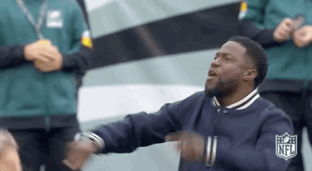 Cheering Atlanta Falcons Football Kevin Hart Damn GIF