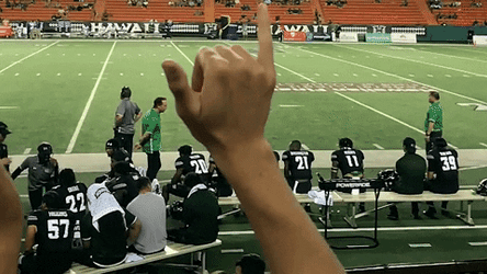 Cheering Football Game In Hawaii GIF