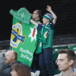 Cheering Northern Ireland Audience  GIF