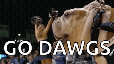 Cheerleader Holds Up Bulldog Saying Go Dawgs GIF