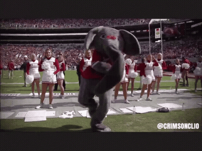 Cheerleaders And Elephant Mascot On Field @Crimsonclio GIF