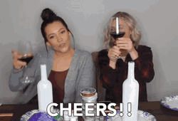 Cheers Wine Drink GIF