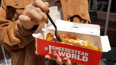Cheese Fries Loaded Fries GIF