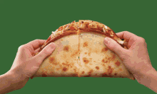 Cheesy Pizza Sandwich