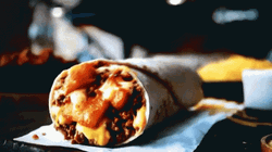 Cheesy Savory Burrito  GIF
