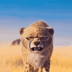 Cheetah Angry Cartoon 3d