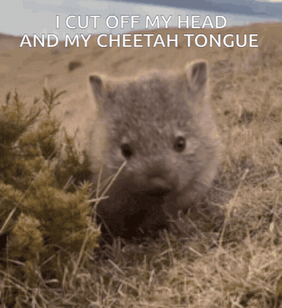 Cheetah Eating Grass Saying I Cut Off My Head And My Cheetah Tongue GIF