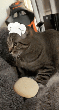 Chef Cat Knead Dough GIF