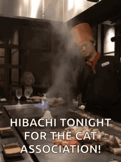 Chef Cooking Hibachi Tonight For Cat Association GIF