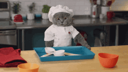 Chef Kitty Throwing The Dishes GIF