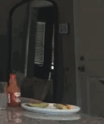 Chelsea Green Surprised Breakfast GIF