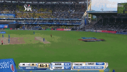 Chennai Super Kings Crickets Meme Game GIF