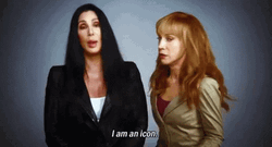 Cher I Am An Icon Kathy Griffin GIF