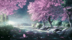 Cherry Blossom Bridge GIF