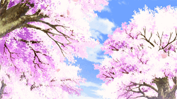 Cherry Blossom Bright Day GIF