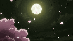 Cherry Blossom Bright Full Moon GIF