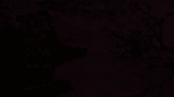 Cherry Blossom Chinese Temple GIF