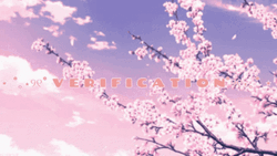 Cherry Blossom Flying Petals GIF