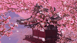 Cherry Blossom Pagoda Anime GIF
