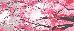 Cherry Blossom Pink Butterflies GIF