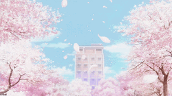 Steam Community   Clannad Cherry Blossoms Gif