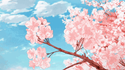 Cherry Blossom Spring Floral Animation GIF