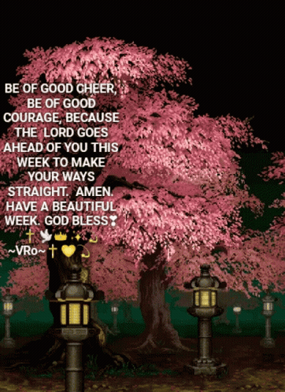 Cherry Blossom Tree Be Of Good Cheer GIF