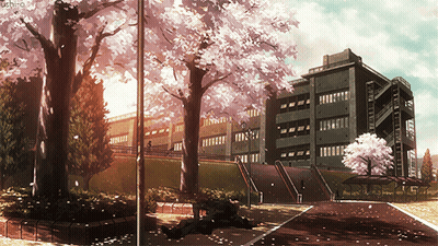 Cherry Blossom Tree In Front Of Building GIF