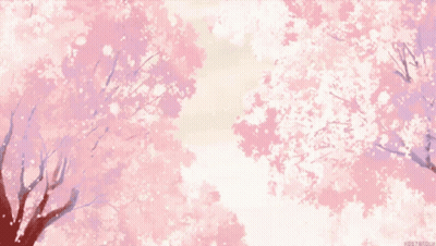 Cherry Blossom Tree With Pink Flowers GIF