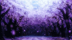 Cherry Blossom Trees Glowing GIF
