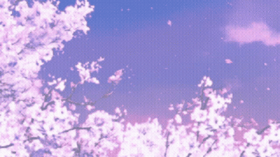 Cherry Blossoms Are Falling From A Tree With A Purple Sky In The Background GIF