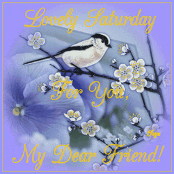 Cherry Blossoms Design Saturday Blessings GIF