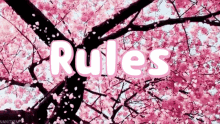 Cherry Blossoms Sakura Falling Pink Flowers Rules GIF