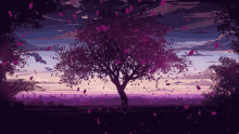 Cherry Blossoms Sakura Pink Violet Flowers Sunset GIF