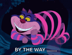 Cheshire Cat By The Way GIF