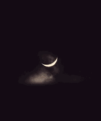 Cheshire Cat Creepy Moon GIF