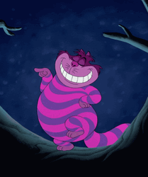 Cheshire Cat Funny Dance  GIF