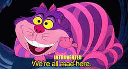 Cheshire Cat We Are All Introverted Here GIF
