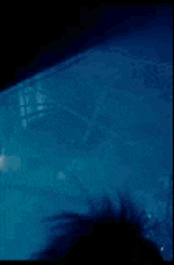 Chesly Houser Beetlejuice GIF