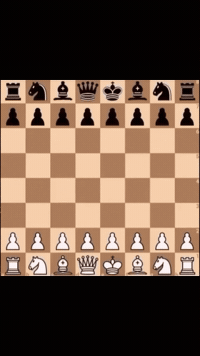 Chess GIFs