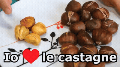 Chestnuts And Rice Bowl On Wooden Table Ti Piacciono Le Castagne GIF