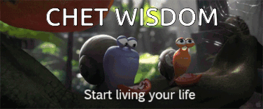 Chet Wisdom Start Living Your Life Banner GIF