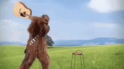 Chewbacca GIF